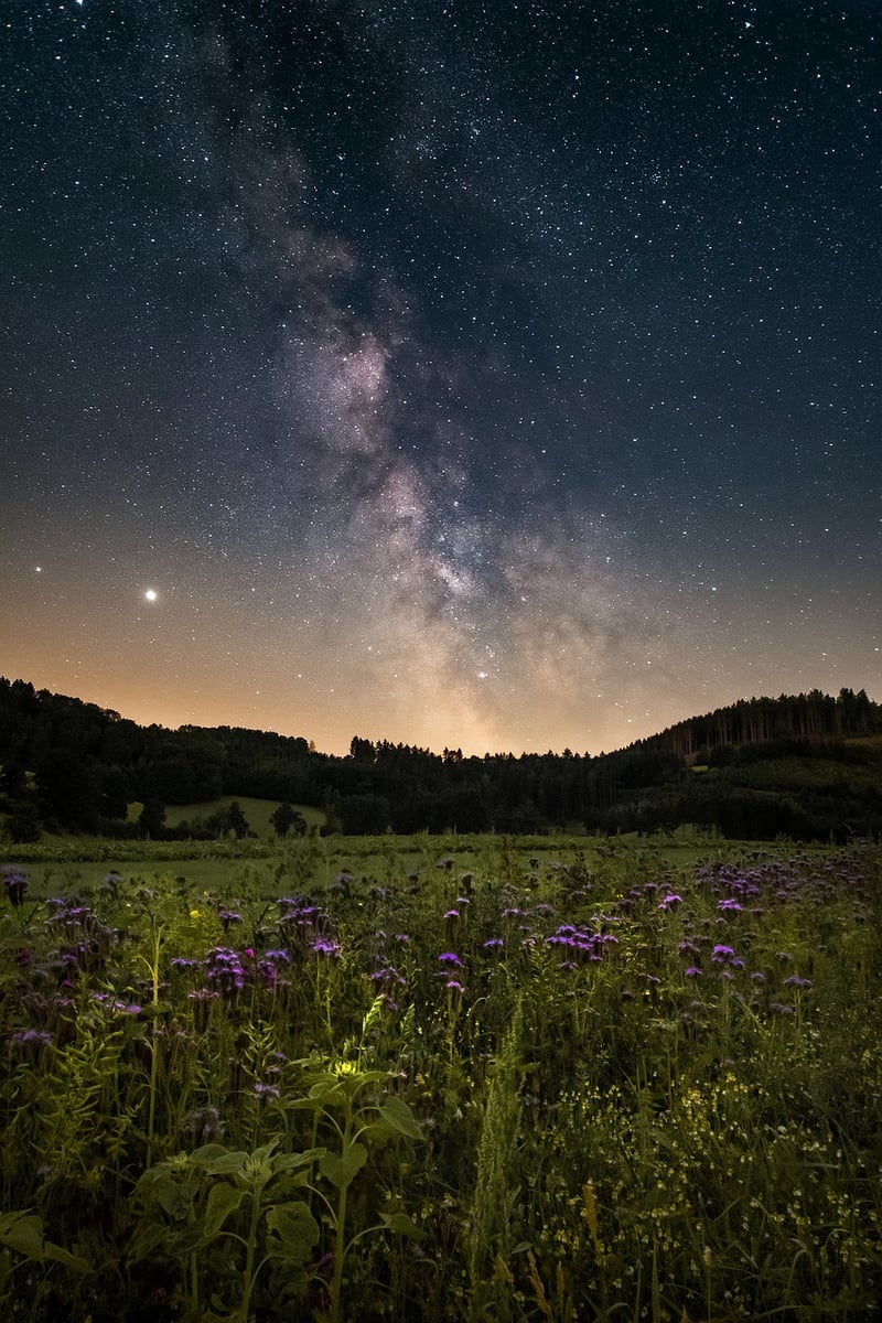 Galactic Space Odysseys